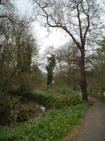 The River Brent