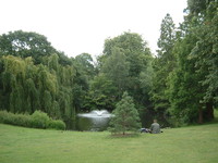 The pond in Springfield Park