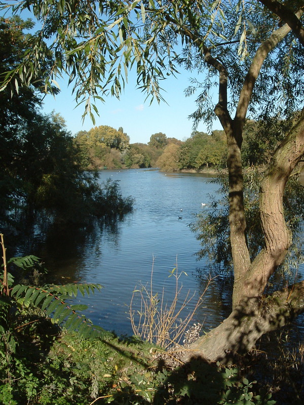 The Thames from the north bank outside the Brunel University campus