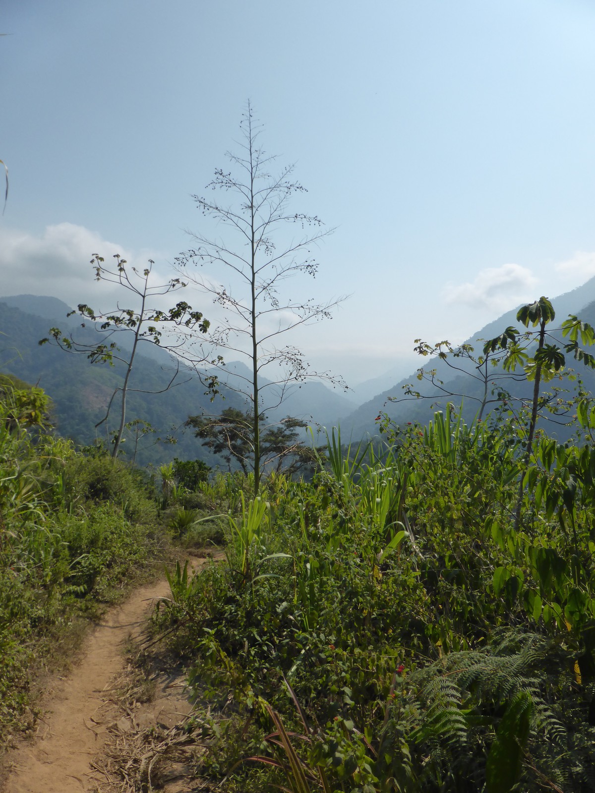 Looking back after the first ascent of day three