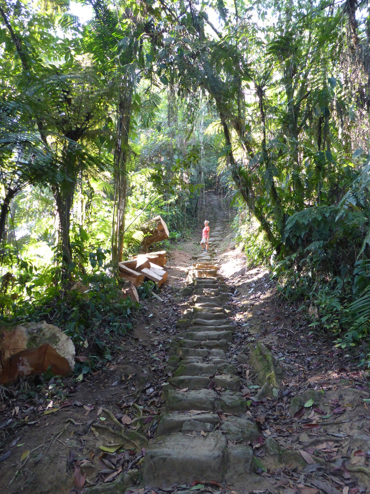 Climbing the 1200-step staircase to the Lost City