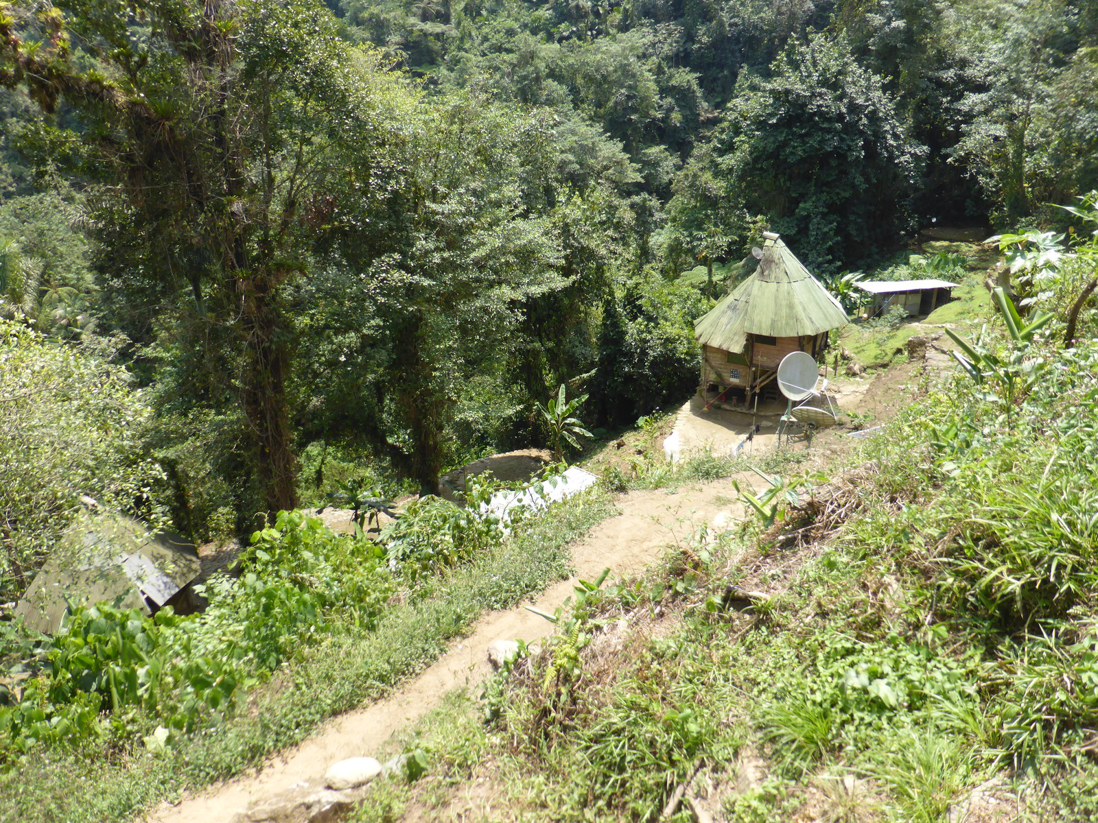 The ranger station in Eje Central