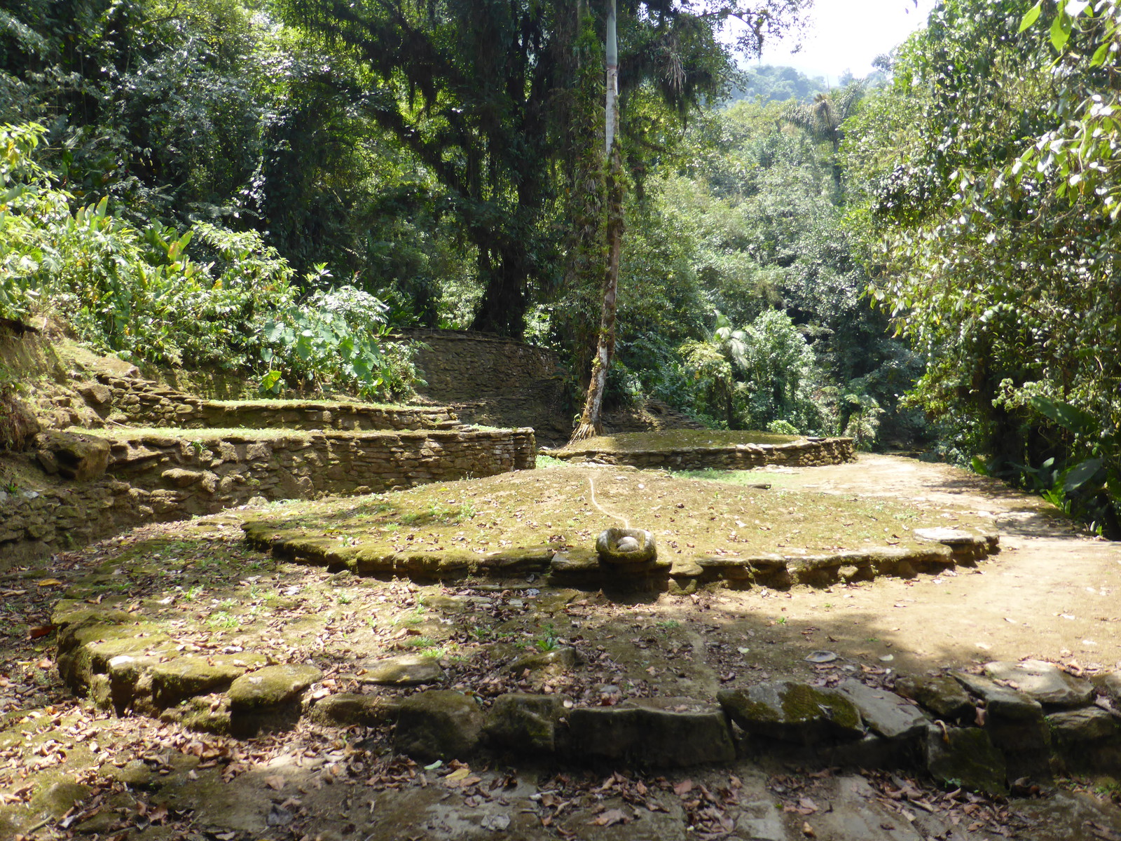 The circles in the El Canal section are more overgrown