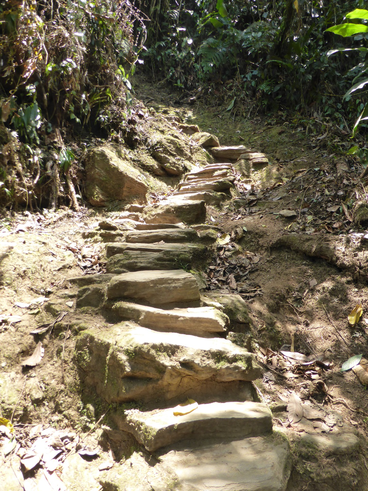 Final access to the Lost City is up a steep stone staircase with 1200 steps