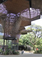 The orchidarium in the Jardín Botánico