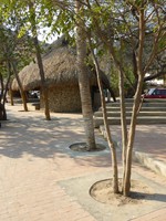 The brown concrete waterfront in Taganga