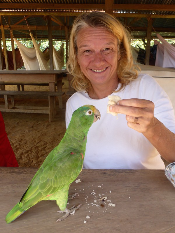 Peta and the parrot