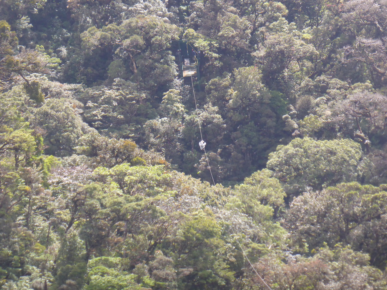 Ziplining the cloud forest: the tiny blob in the middle of the photograph is Mark