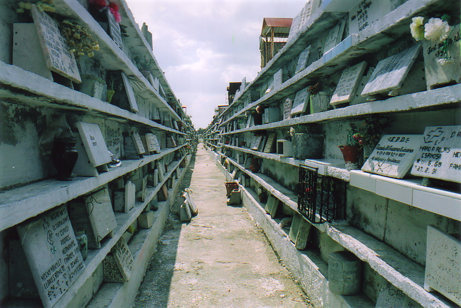 The necropolis of Santa Cristo del Buen Viaje