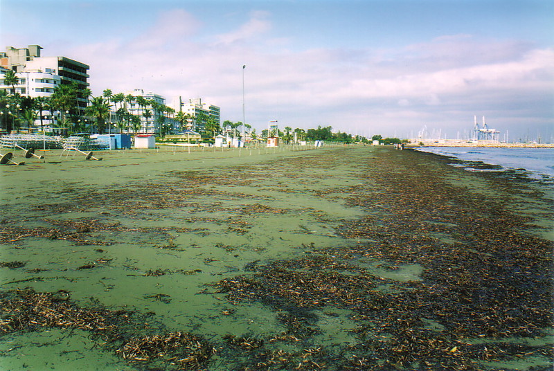 The beach at Larnaka