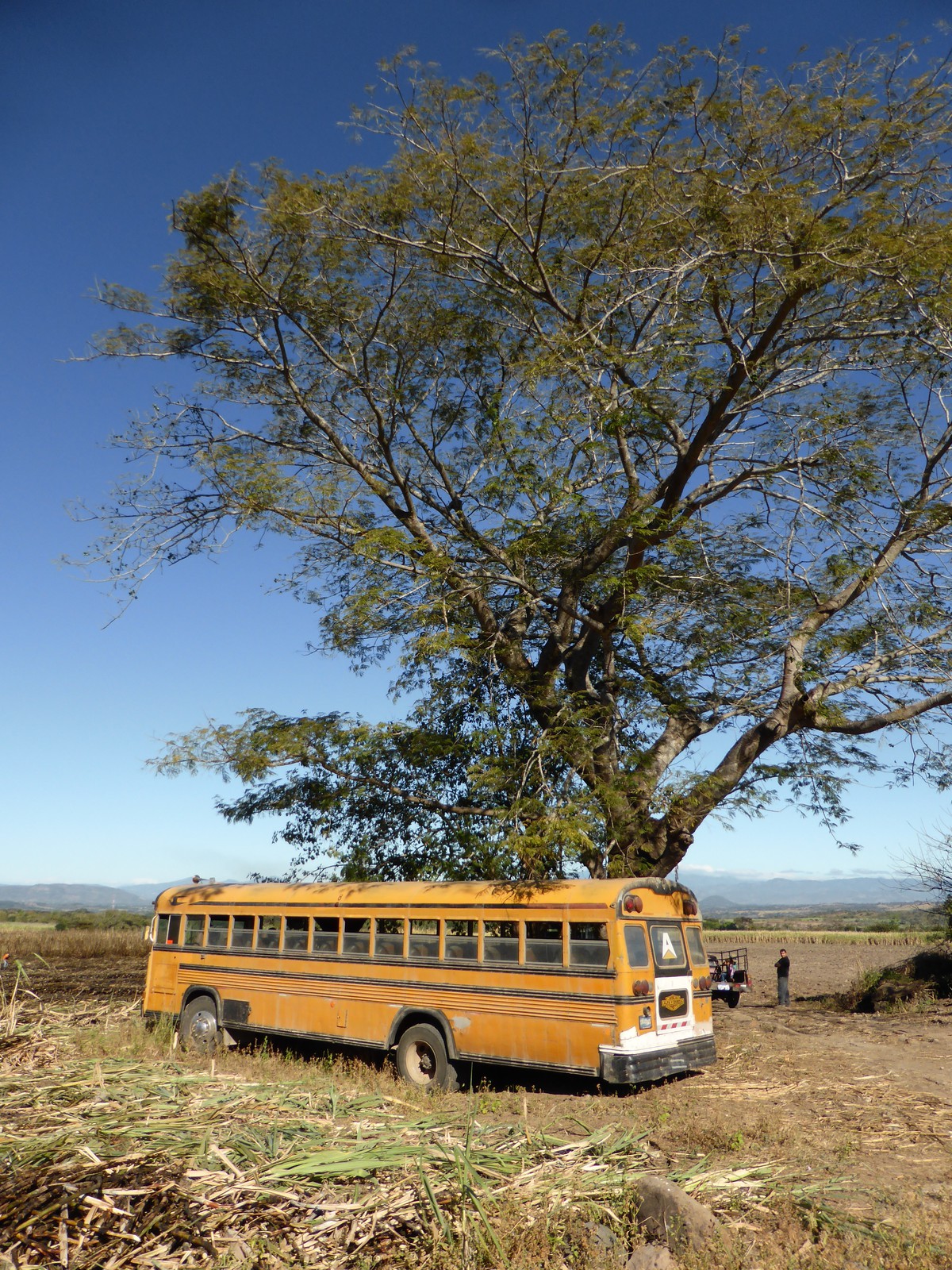 Transport for farm workers on the hill