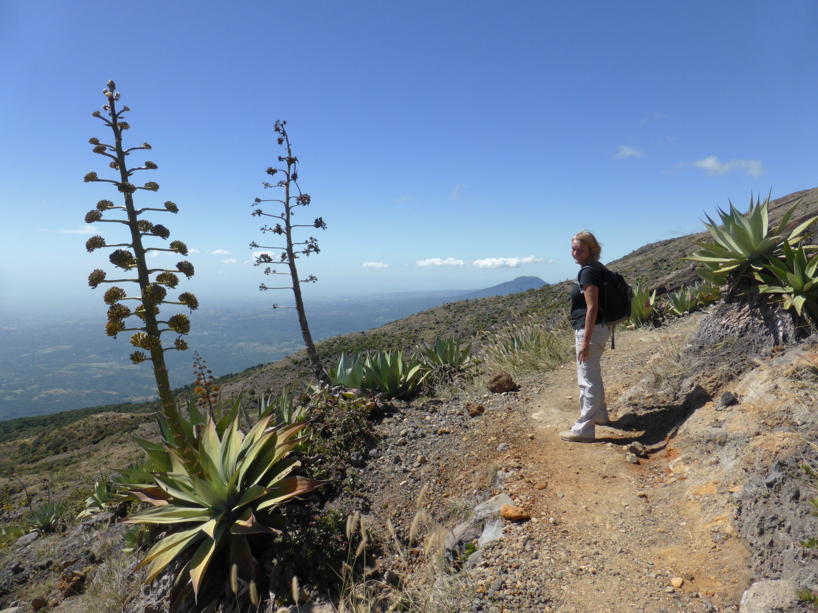 Peta on her way through the maguey plants