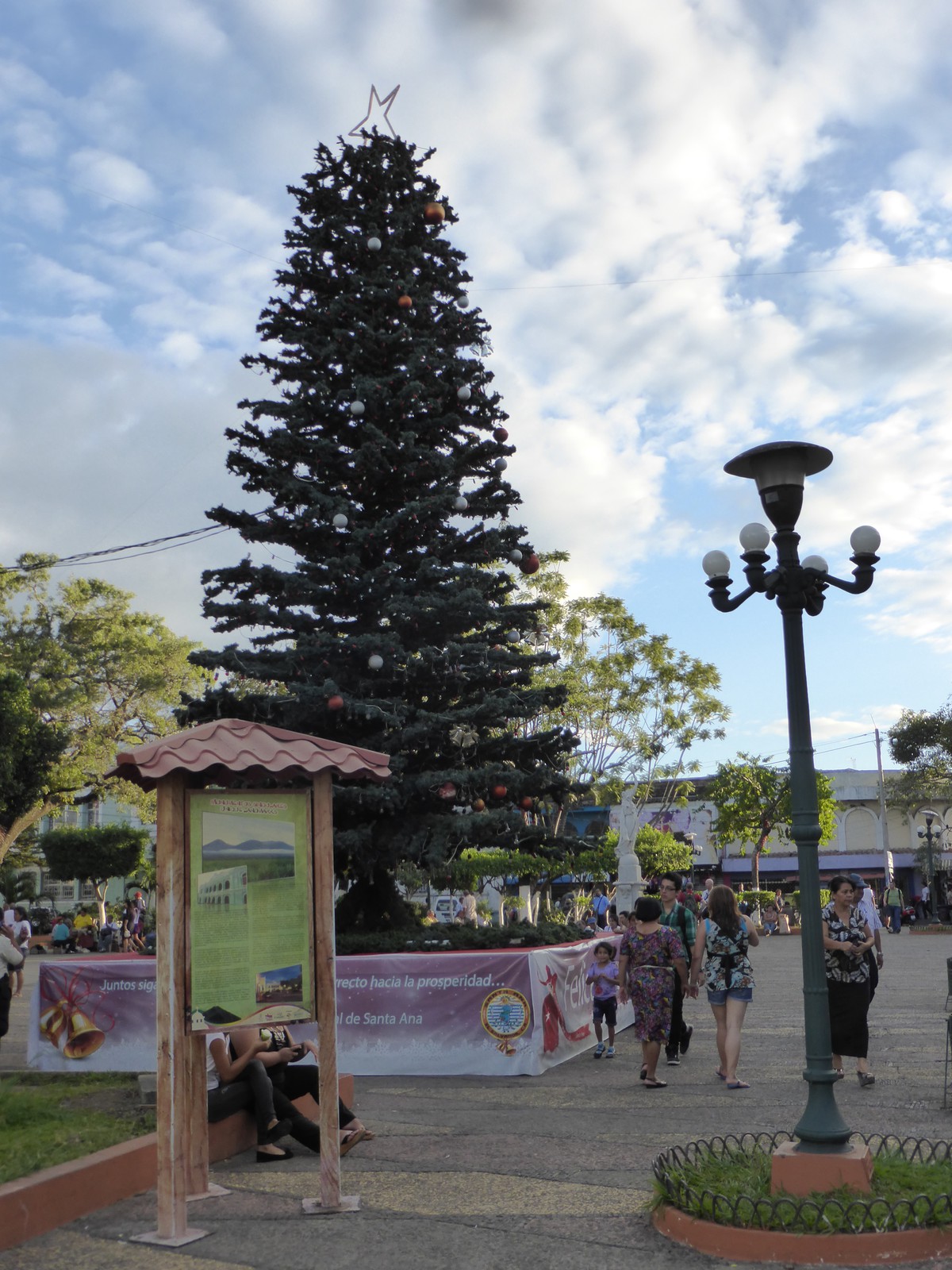 The Christmas tree in the main plaza in Santa Ana