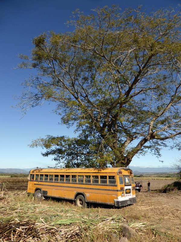 Transport for farm workers on the hill