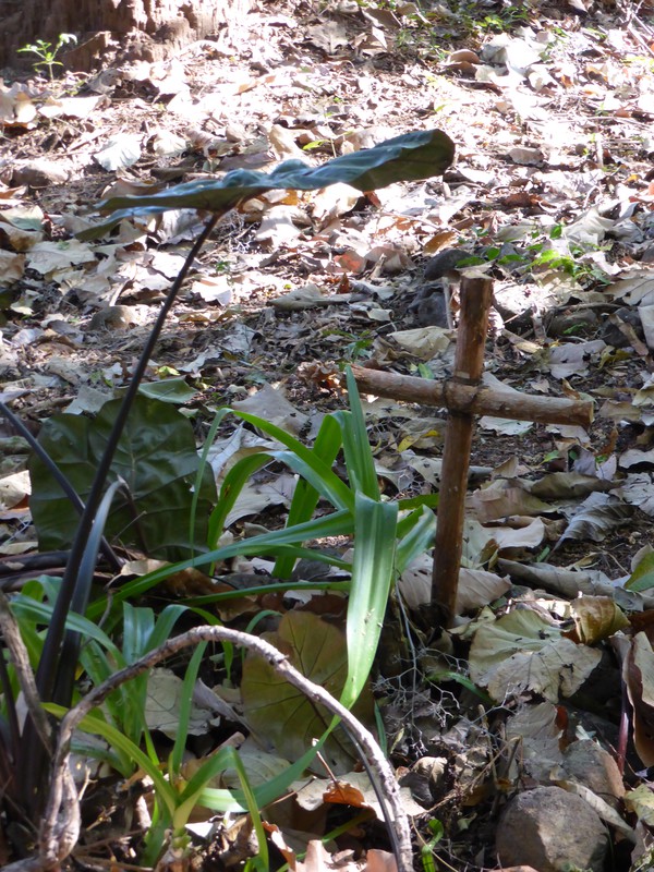 A wooden cross by the bombed church
