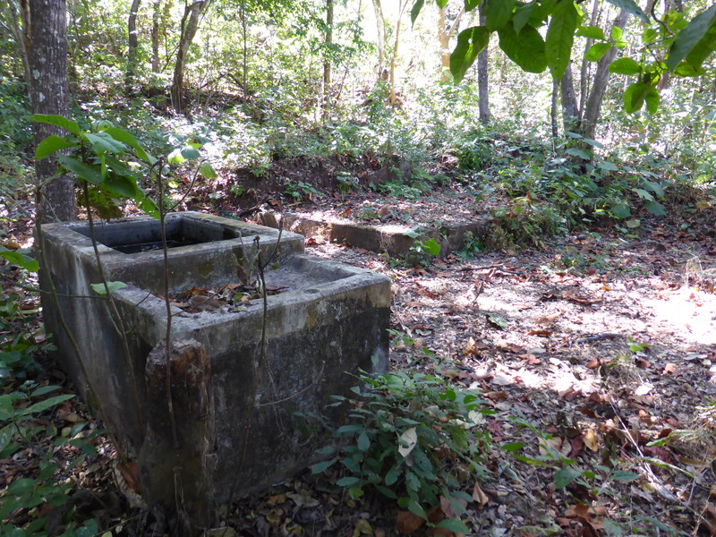 The remains of Nelson's home