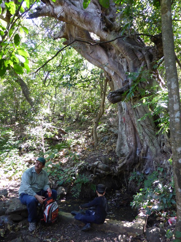 Nelson and Nelsito at a water hole on the way down the hill