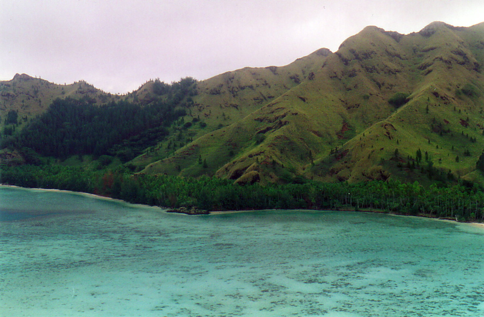 Île Taravai's volcanic slopes