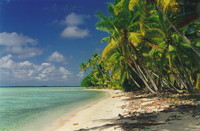 A beautiful beach on Amanu