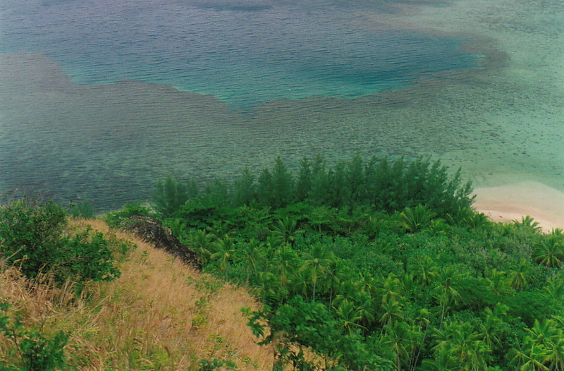 The forested shores of Île Agakauitai