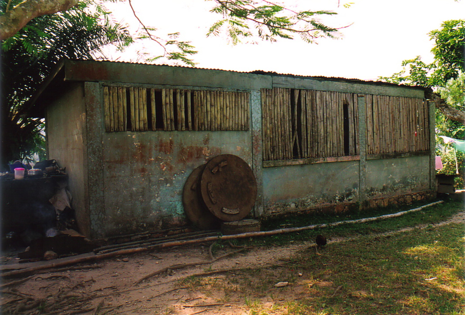 Frank's children's house