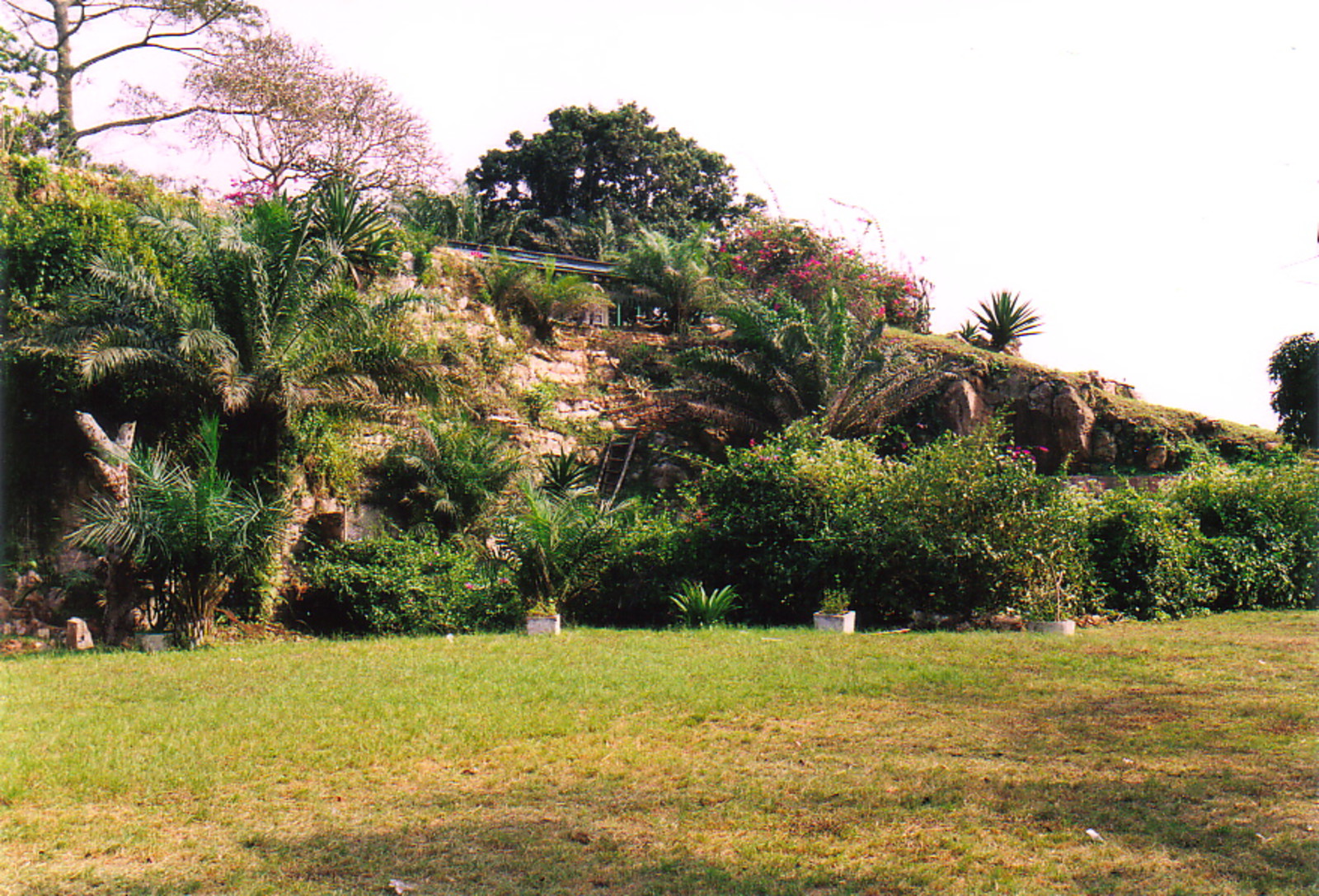 Jimmy Moxon's house