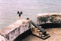 Cannons at Fort St Anthony, Axim