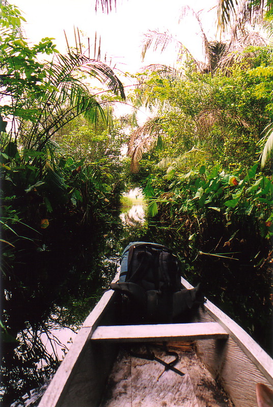 A canoe pushing through thick greenery