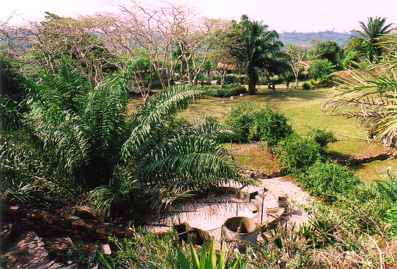 The gardens at Jimmy Moxon's house