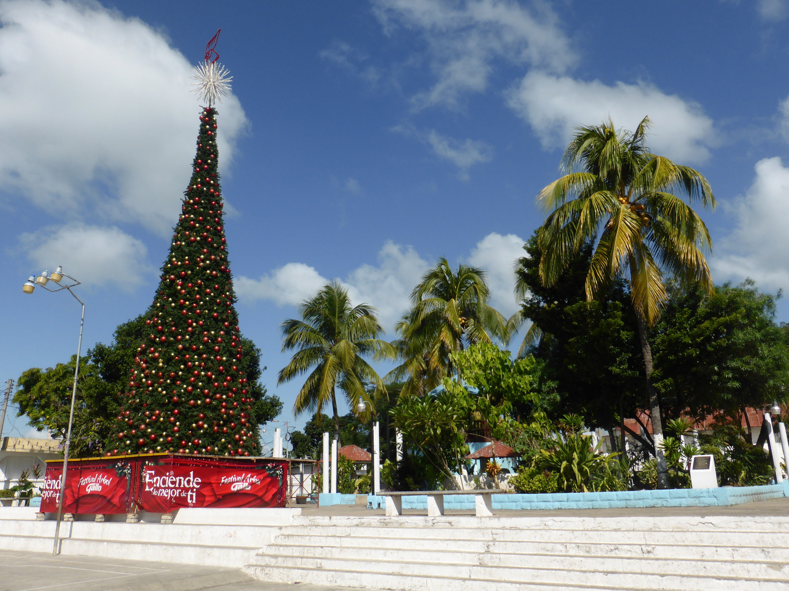 The rather impressive Christmas tree in the main plaza