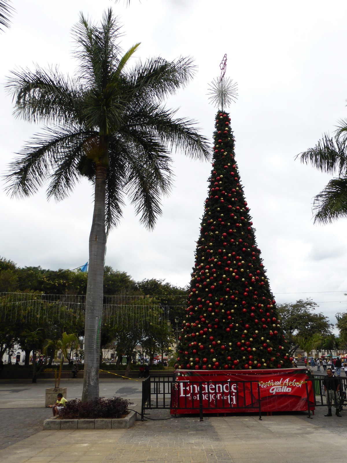 The Christmas tree in Parque Central