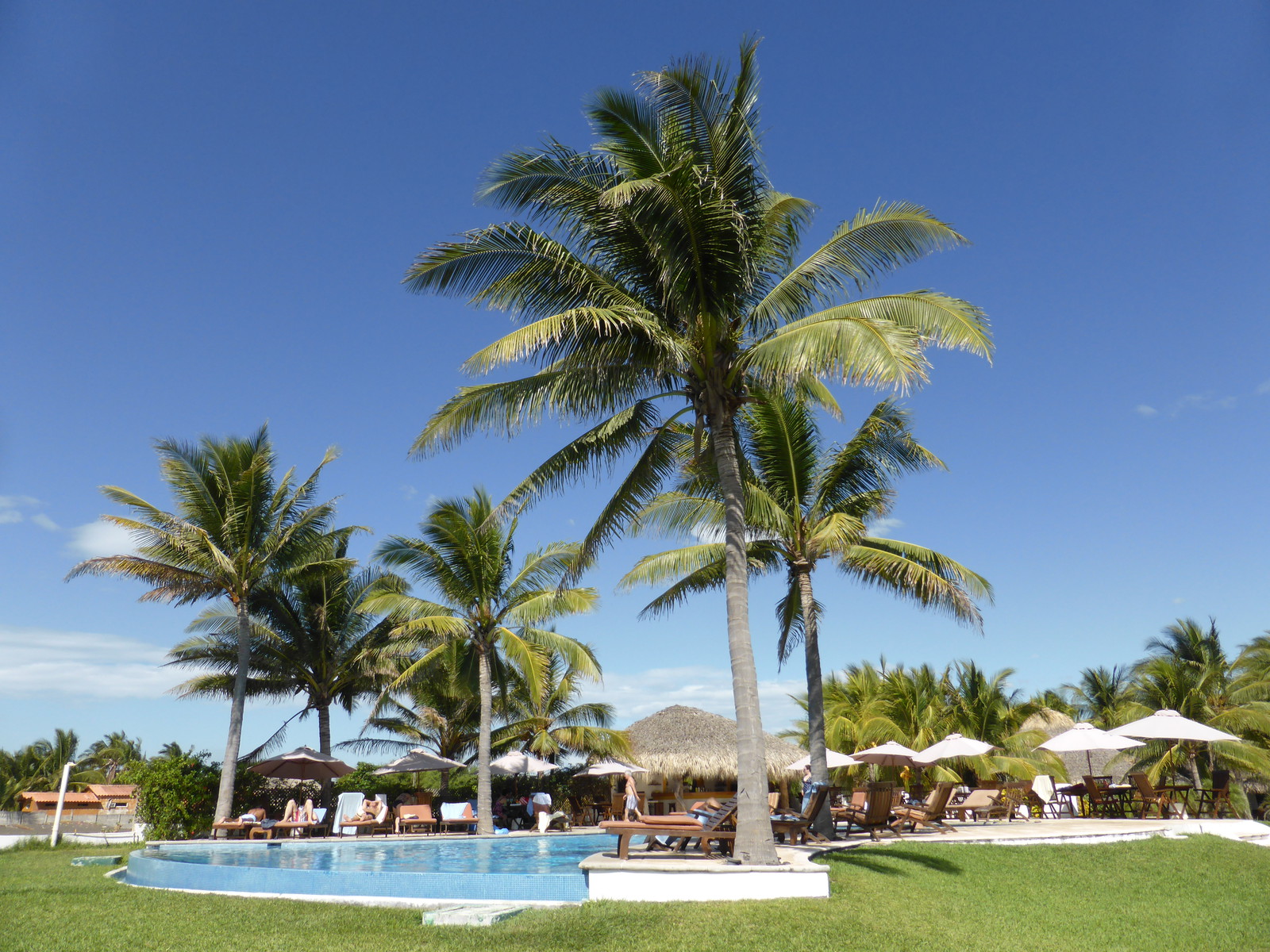 The lovely beachside infinity pool at Dos Mundos