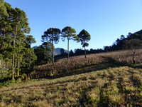 Walking back down from the Indian's Nose along the crater rim