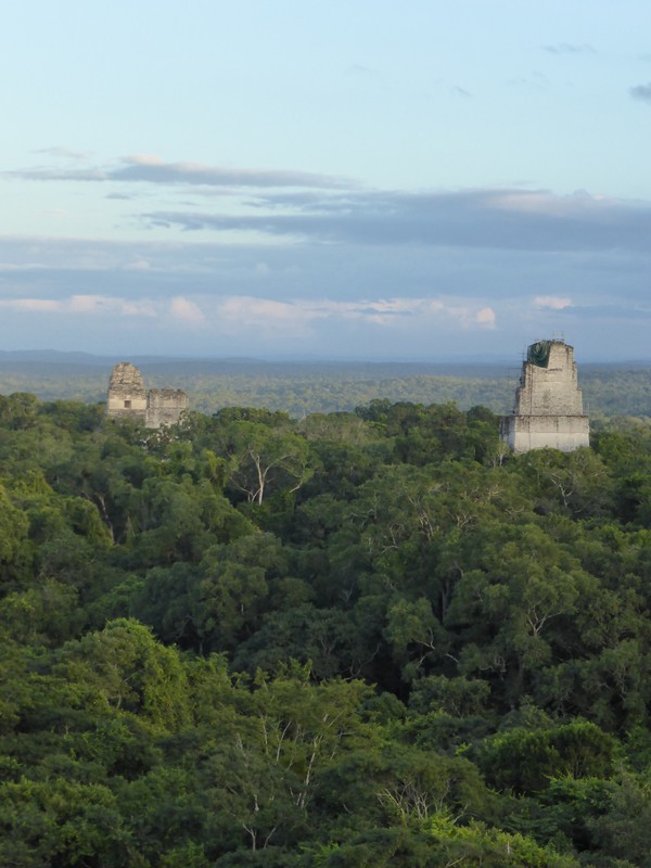 The view east from Temple IV, with Temples I and II on the left and Temple III on the right