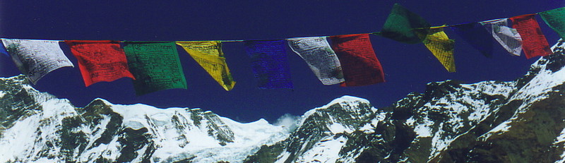 Essay moxon 06 image