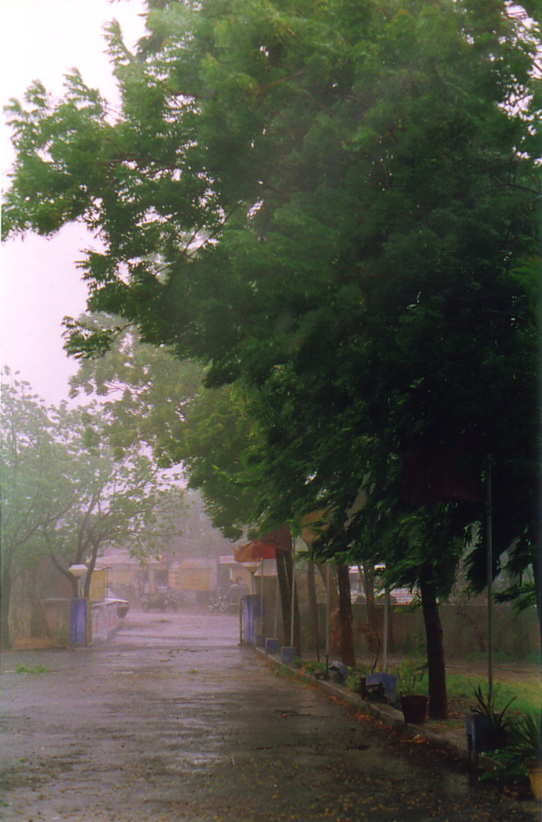 A cyclone in Palitana
