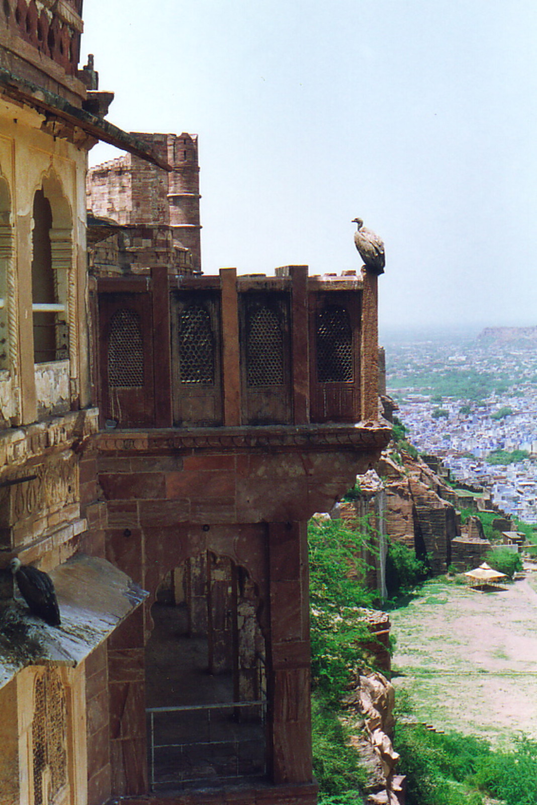 Birds perched on the ramparts of Mehrangarh Fort