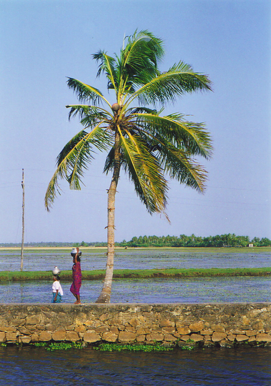 Keralan women carrying the daily water supply