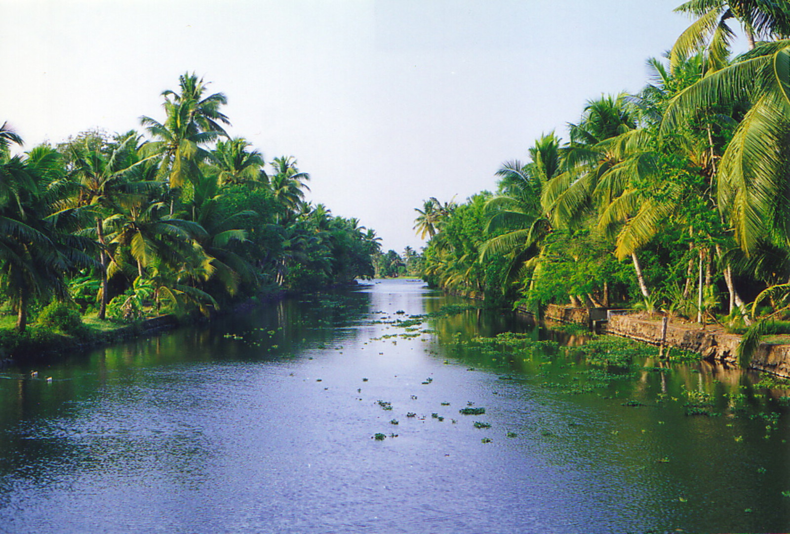 The placid backwaters of Kerala