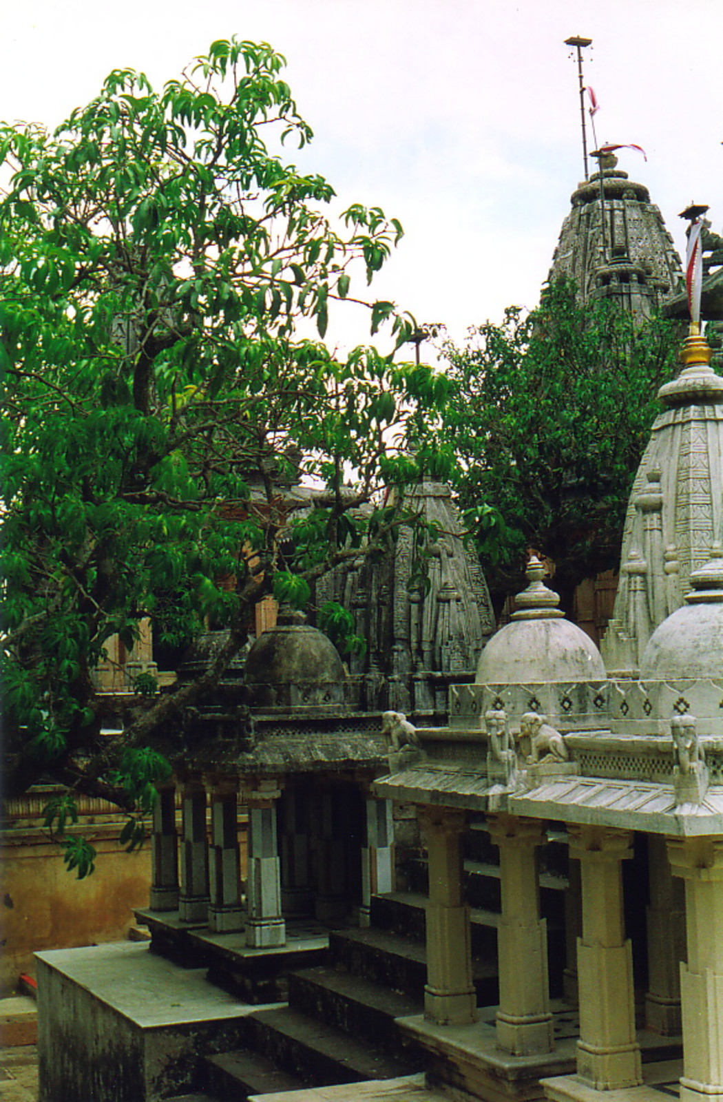 Temples and trees at Palitana