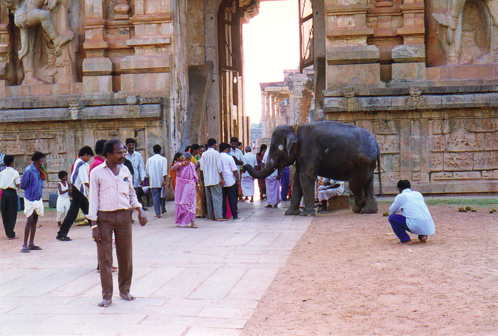 An elephant at the entrance to Brihadesvada Temple