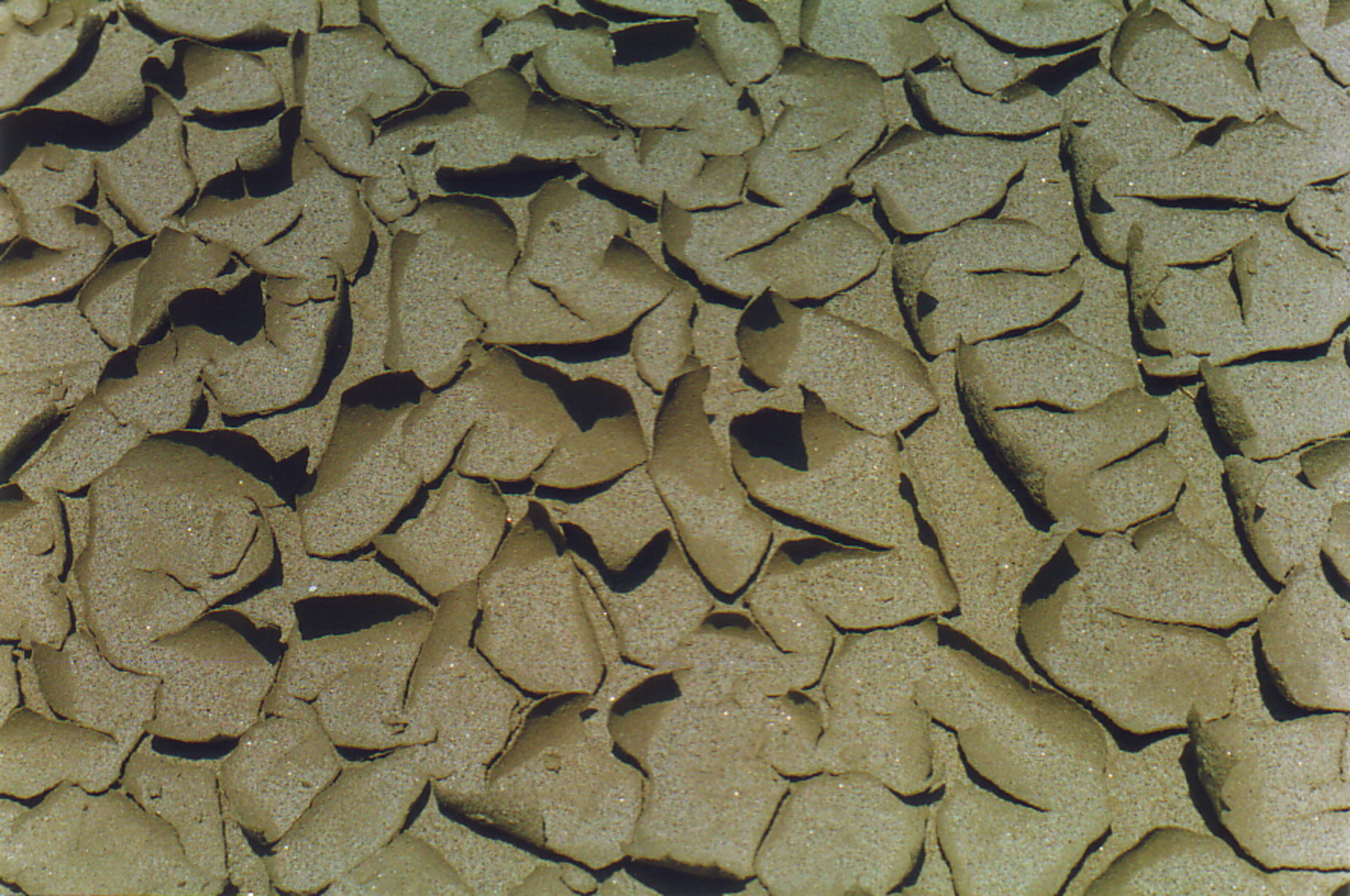 The bed of the Ganges in the dry season