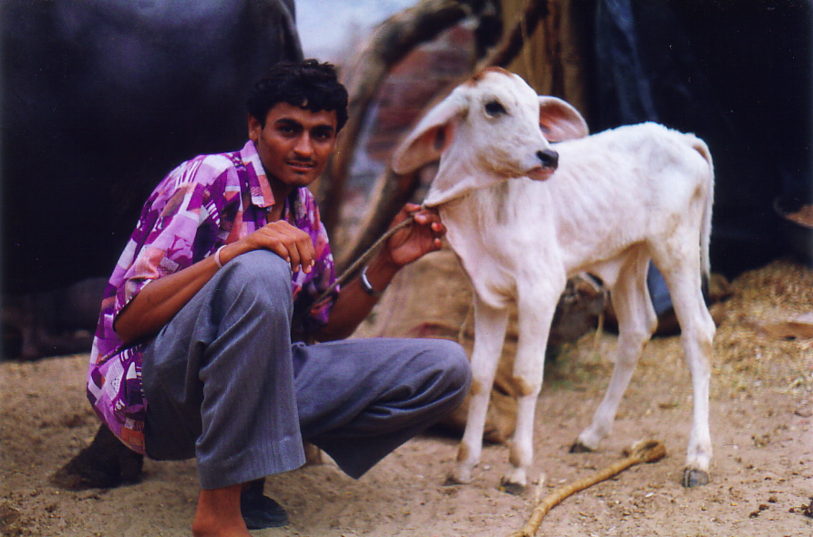 Urma and one of his flock