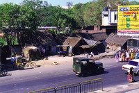 A roadside farm in Chennai
