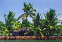 A small house tucked away in the backwaters of Kerala