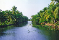 The placid backwaters of Kerala