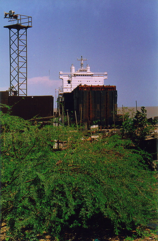 A ship pictured through some trees