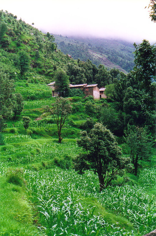A farmhouse in Bhagsu