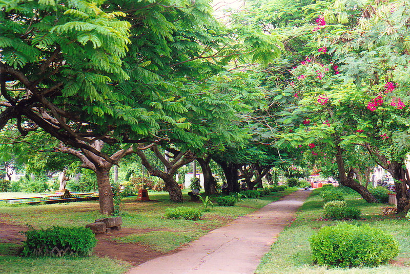 The park in Pondicherry
