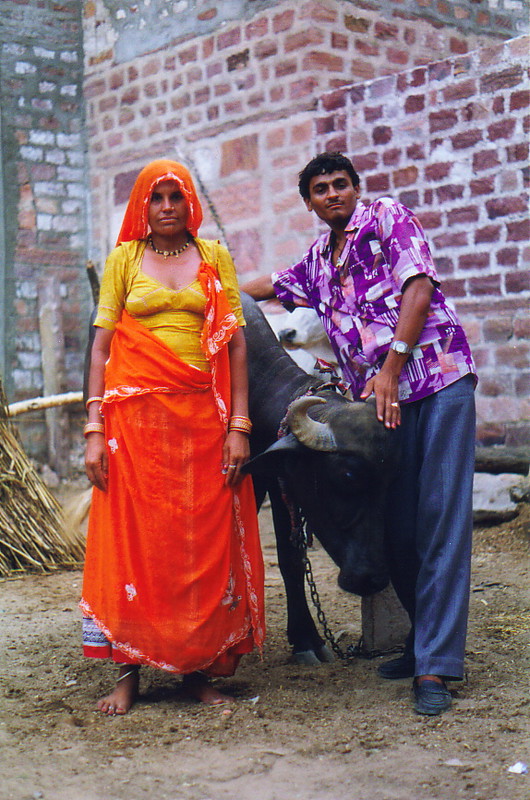 Rupei, Urma and a water buffalo